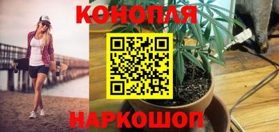 дживик Можга